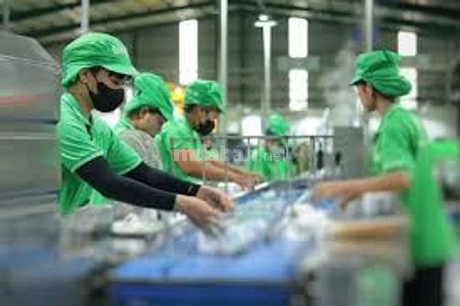 Công ty thực phẩm và nước giải khát tuyển dụng LĐPT