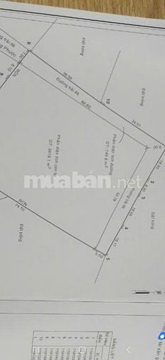 4,370m2 cây LN, 3MT, đường 7m, có 1MT sông Đồng Nai, Long Phước,Q9