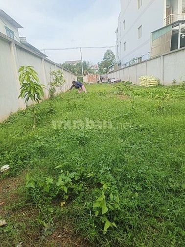 Đất chính chủ mặt tiền Lê Đình Chi