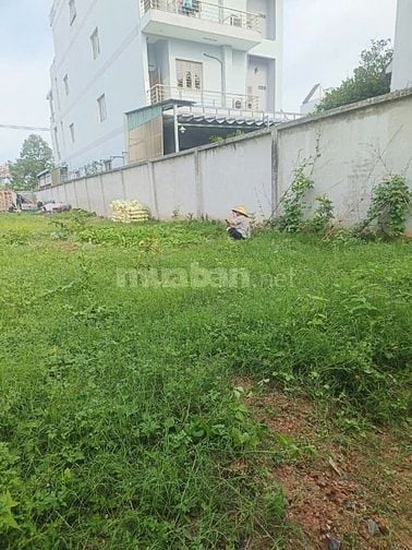 Đất chính chủ mặt tiền Lê Đình Chi