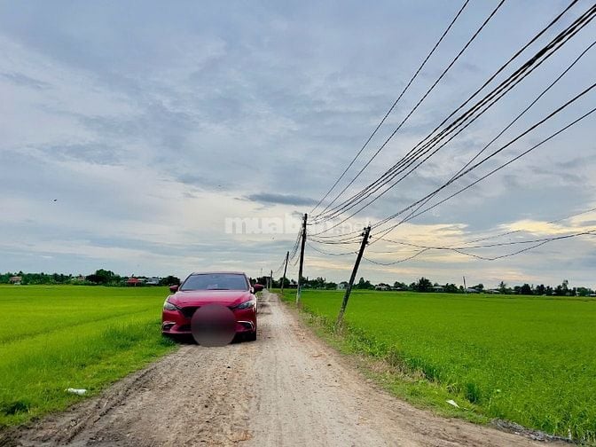 Long An củ 846m2 - thổ cư - gấp bán 1,570 tỷ tl.