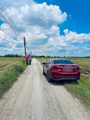 Long An củ 846m2 - thổ cư - gấp bán 1,570 tỷ tl.