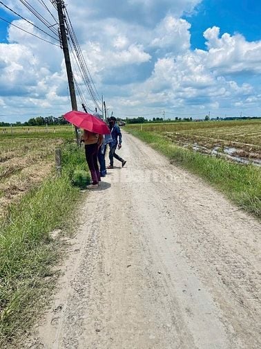 Long An củ 846m2 - thổ cư - gấp bán 1,570 tỷ tl.