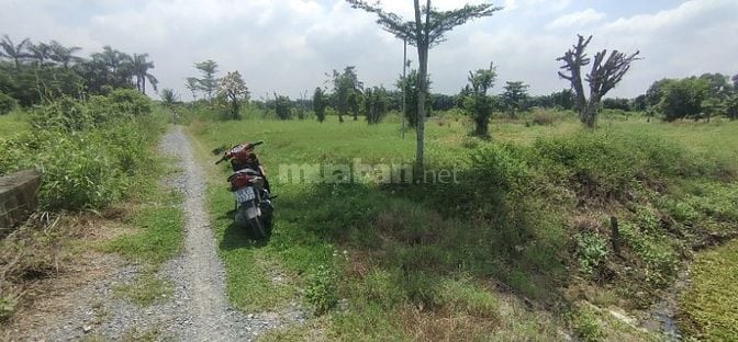 Đất DT: 2500m2- Chỉ Nhỉnh 5tr/m2.HXT Đ.Lê Văn Khương, Xã Đông Thạnh 