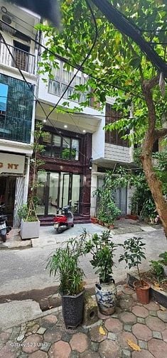 Cho thuê cửa hàng, văn phòng cho thuê 2/45 nguyên hồng