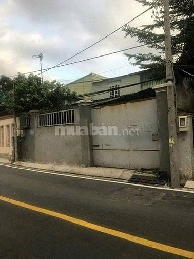 BÁN NHÀ XƯỞNG TẠI Mặt Tiền Đường Lê Thị Lơ, Xã Tân Hiệp, Hóc Môn, HCM