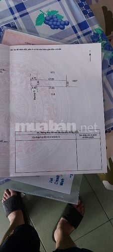 Bán đất đẹp Hương Thủy Huế sổ hồng chính chủ, hoa hồng cho môi giới