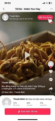 Bán Đông Trùng Hạ Thảo sấy Thăng Hoa đang bán cho Bác Sĩ, giá hợp lý 