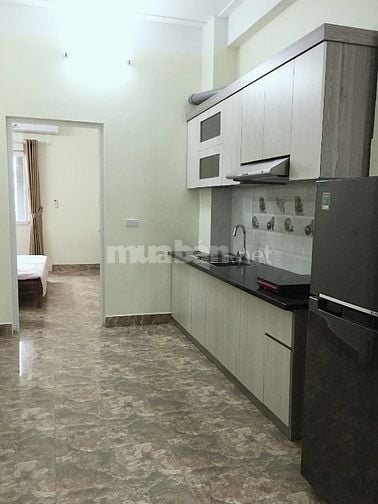 Cho thuê CHMN 50 m2 ở ngõ 467 Hoàng Hoa Thám, Ba Đình vào ở luôn