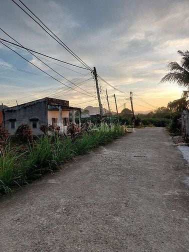 Bán đất ở và trồng cây lâu năm