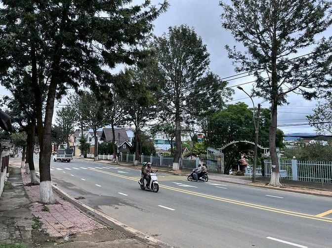 Đất thổ cư mặt tiền đường lớn trung tâm p7 đà Lạt sổ hồng riêng thổ cư