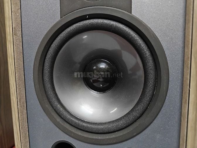 Bán cặp loa Pioneer S-303 đẹp keng - zin 100%