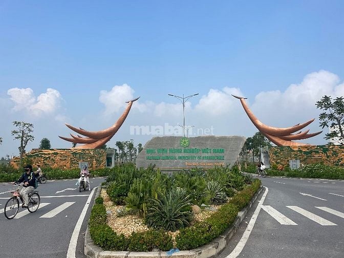 Bán gấp căn chung cư mini tần 9 đường cửu việt 1 gần trường đại học NN Bán gấp căn chung cư mini tần 9 đường cửu việt 1 gần trường đại học NN