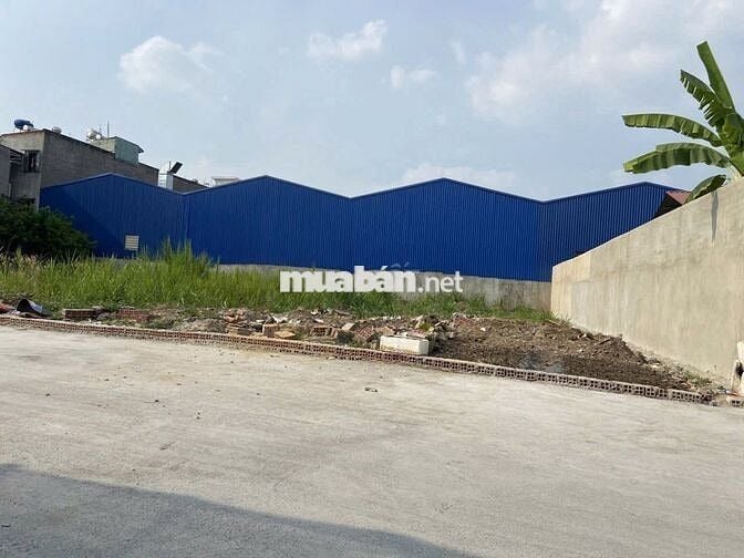 Bán cắt lỗ, nhanh mới còn, đất 100m2, Thạnh Xuân, Q12, 3.1 tỷ.