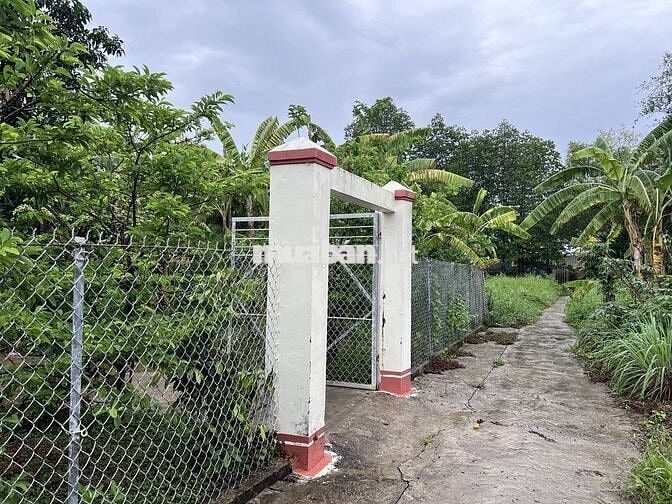 Bán đất có sẵn nhà cấp 4 và trang trại nuôi heo