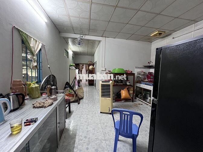 Bán đất có sẵn nhà cấp 4 và trang trại nuôi heo