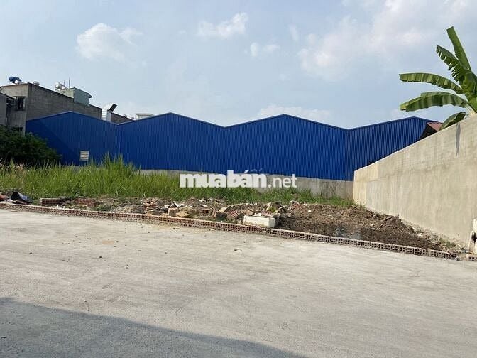Bán cắt lỗ, nhanh mới còn, đất 100m2, Thạnh Xuân, Q12, 3.1 tỷ.