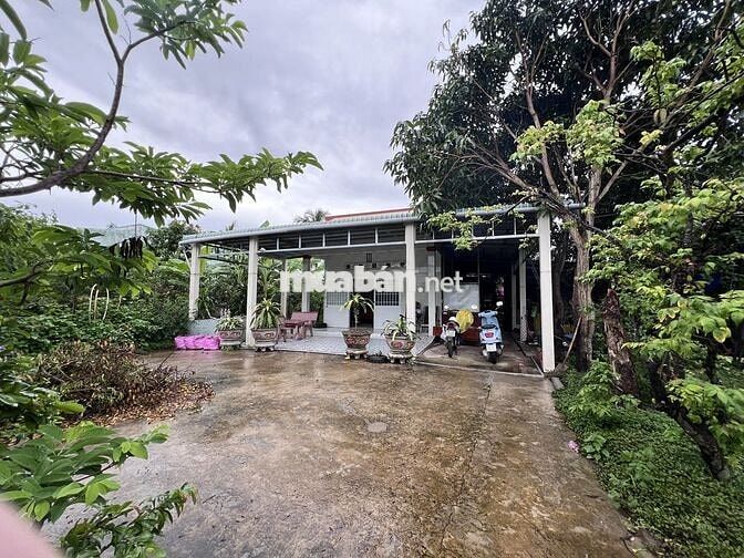 Bán đất có sẵn nhà cấp 4 và trang trại nuôi heo