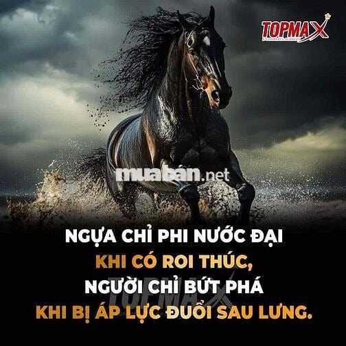 cho thuê nhà mặt tiền Nguyễn Văn Linh 14x20( 4 tầng)