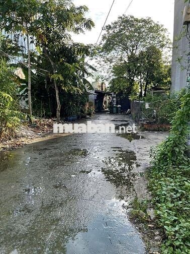 Đất Vuông Đẹp – Gần Chợ ,Trường Học– Giá Chỉ 6.3 Tỷ!