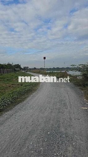 Chủ cần bán gấp đất mặt tiền sông sài gòn
