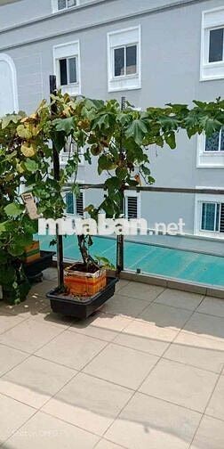 NHÀ TRỆT 2LẦU 3PN-4WC GARA OTO SÁT GÒ VẤP-NGUYỄN THÁI SƠN