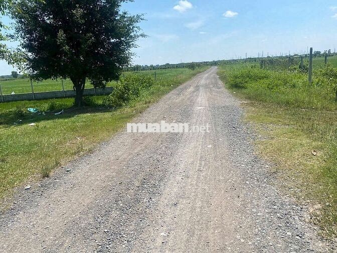 Bán lô đất Đ.Suối sâu gần chợ Suối Sâu DT 200m giá 600tr sổ hồng riêng