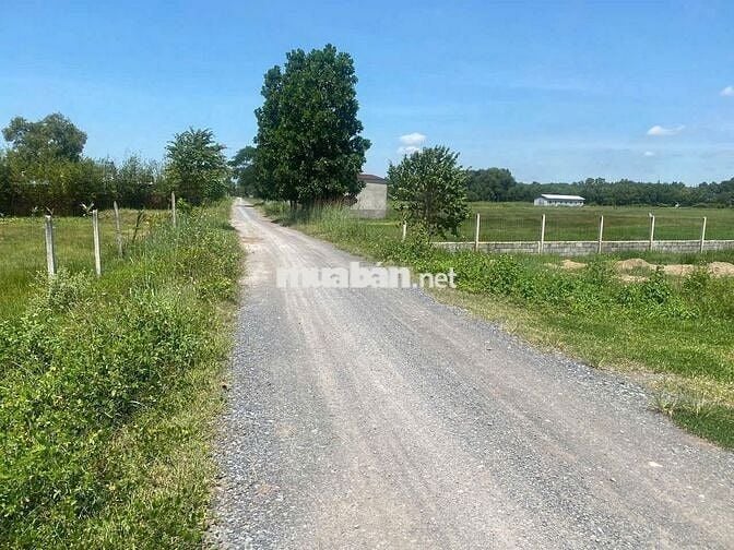 Bán lô đất Đ.Suối sâu gần chợ Suối Sâu DT 200m giá 600tr sổ hồng riêng