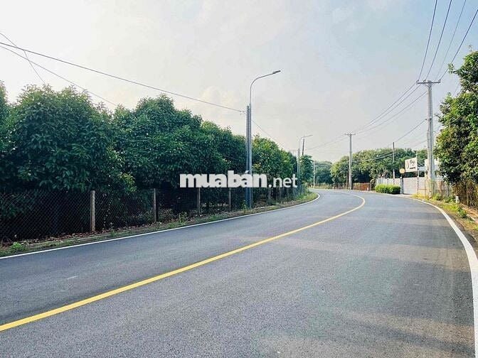 Cần Bán nhà vườn Bình Dương 1200m2