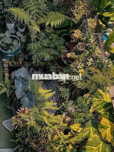 bán căn biệt thự phú lộc căn nhà nội thất vip . chủ bán nhanh