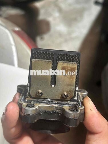Vài Món Ăn Chơi Real Cho Xipo Nova Yaz Có Ship COD