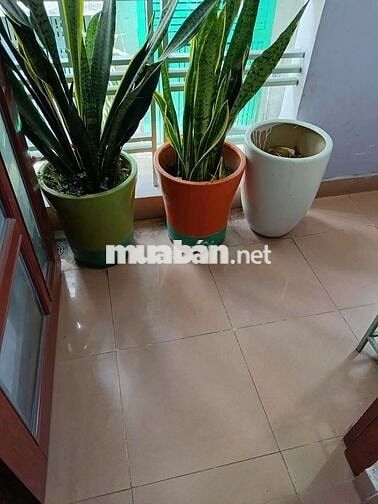 Phòng cho thuê sạch đẹp thoáng mát Tân Bình, TPHCM