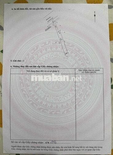 đất vườn có sẵn thổ cư ở Bến Lức Long An