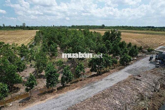 đất vườn có sẵn thổ cư ở Bến Lức Long An
