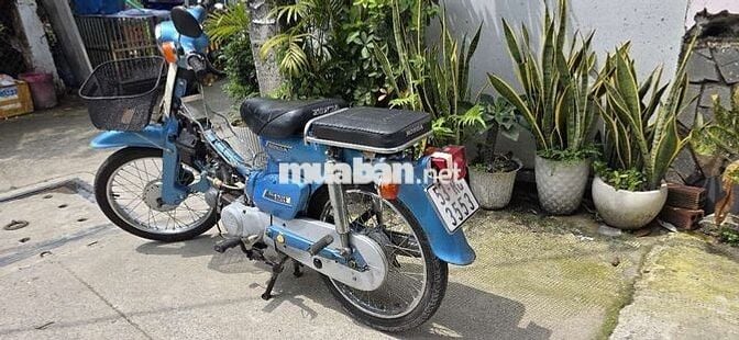 Cub 81/90cc