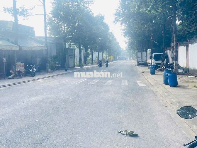 Đất mặt tiền đường Hố Lang, phường Tân Bình, TP Dĩ An.