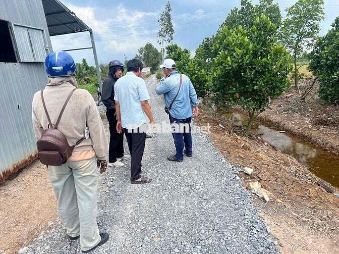 đất vườn có sẵn thổ cư ở Bến Lức Long An