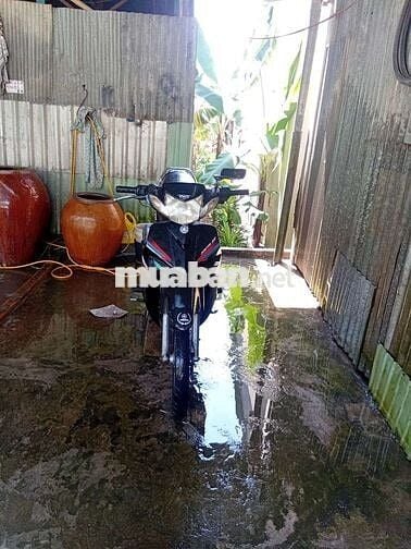 Alpha nhu hinh va vai xe khac