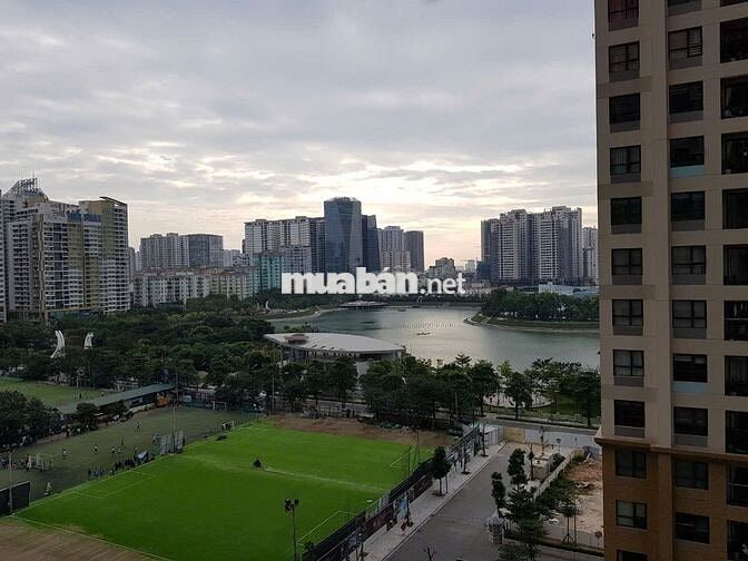 Cho thuê 1,5PN miễn phí dịch vụ dự án D'Capitale Trần Duy Hưng