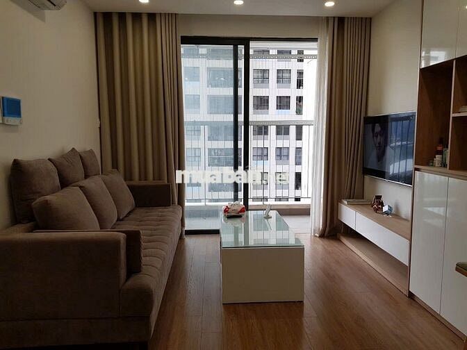 Cho thuê 1,5PN miễn phí dịch vụ dự án D'Capitale Trần Duy Hưng