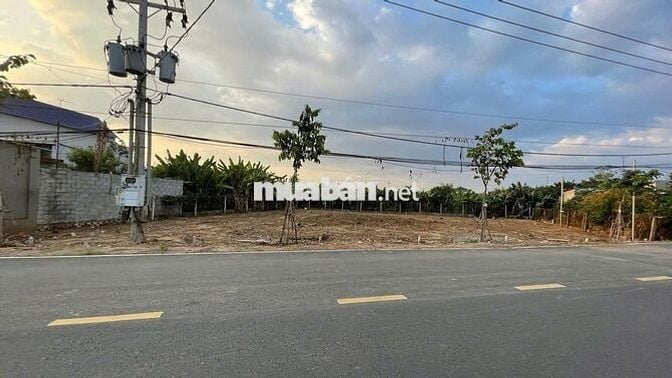 CHÍNH CHỦ BÁN ĐẤT MẶT TIỀN ĐƯỜNG LỚN 6x30 700 TRIỆU SANG TÊN NGAY SHR