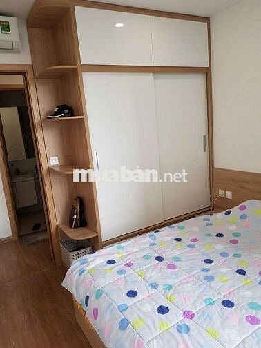 Cho thuê 1,5PN miễn phí dịch vụ dự án D'Capitale Trần Duy Hưng