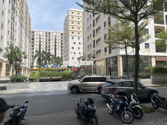 Cần pass hợp đồng thuê nhà còn 4 tháng  - Chung cư Cityland Park Hills