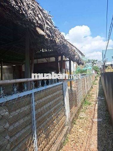 Chủ hạ giá bán gấp lô đất 223,3m2, mặt tiền đường Đào Sư Tích Nhà Bè