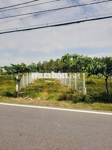 BÁN ĐẤT: 150m2 thổ cư TX Trảng Bàng - ngay chợ Lộc Hưng - SHR