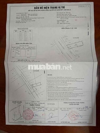 ĐẤT THỔ CƯ-MẶT TIỀN ĐƯỜNG NHỰA THÔNG TỨ TUNG-XÂY DỰNG TỰ DO HOÀN CÔNG