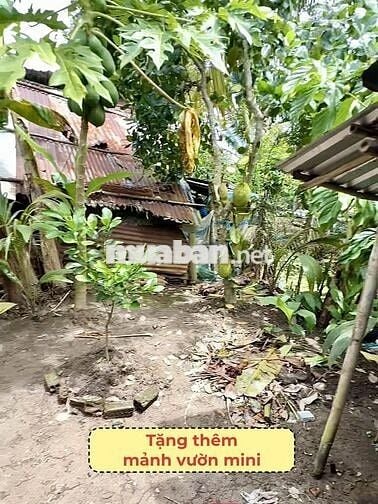 BÁN NHÀ CẤP 4 156m2 TÂN AN HỘI, GIÁ 760TR, SỔ HỒNG RIÊNG