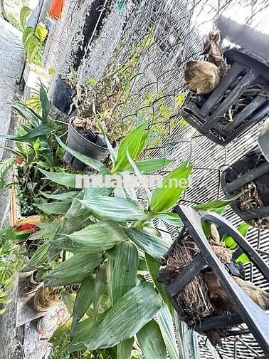 Phòng trọ bình chánh giá rẻ 1,2tr, gần BV nhi Đồng tp, sạch sẽ