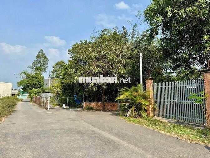 BÁN ĐẤT: 150m2 thổ cư  chợ Lộc Hưng - Trảng Bàng - Giá tốt - SHR