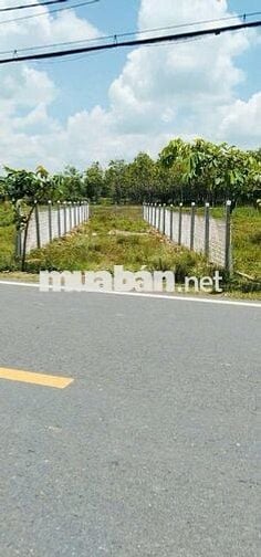 BÁN ĐẤT: 150m2 thổ cư TX Trảng Bàng - ngay chợ Lộc Hưng - SHR